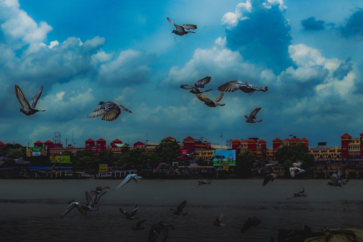 Birds scattering over city rooftops under a broken sky
